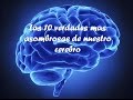 Las 10 verdades mas asombrosas de nuestro cerebro (remasterizado)