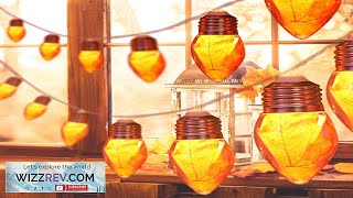 Maple Leaf Bulb String Lights Fall Decorations for Home 8.2 FT 10LED