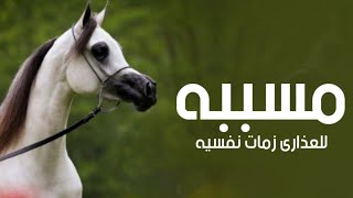 افخم شيلة مسببه للعذارى ازمات نفسيه 2024 اداء صوت الفخامة متعب الخيل