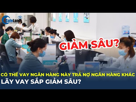 Video: Dưa hấu: trồng và chăm sóc