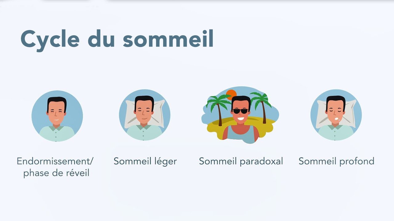 Le rythme circadien: notre horloge interne