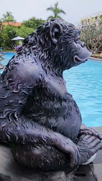 Febri's Hotel&Spa full tour - Kuta, Bali Indonesia 🇮🇩 #febris #bali #kuta #spa #hotel #indonesia