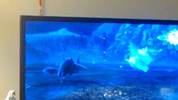 Viva Piñata: How to tame a Sour Mallowolf