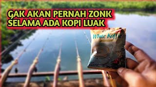 INI PARAH ‼️ KENAPA GAK DARI DULU SAYA MANCING PAKAI INI