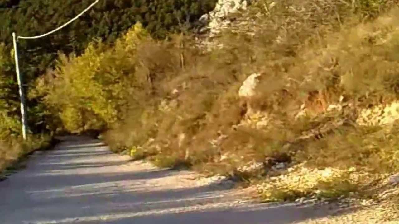 M.T.B. Bottecchia fx 510 prima discesa - YouTube