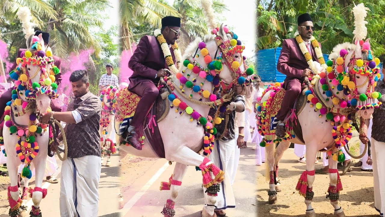 #VSM_DANCING_HORSE,#BOOK_NOW:8870310135.#NIKKAH_EVENTS. #karaniyanenthal #muslimwedding #vibe #drums