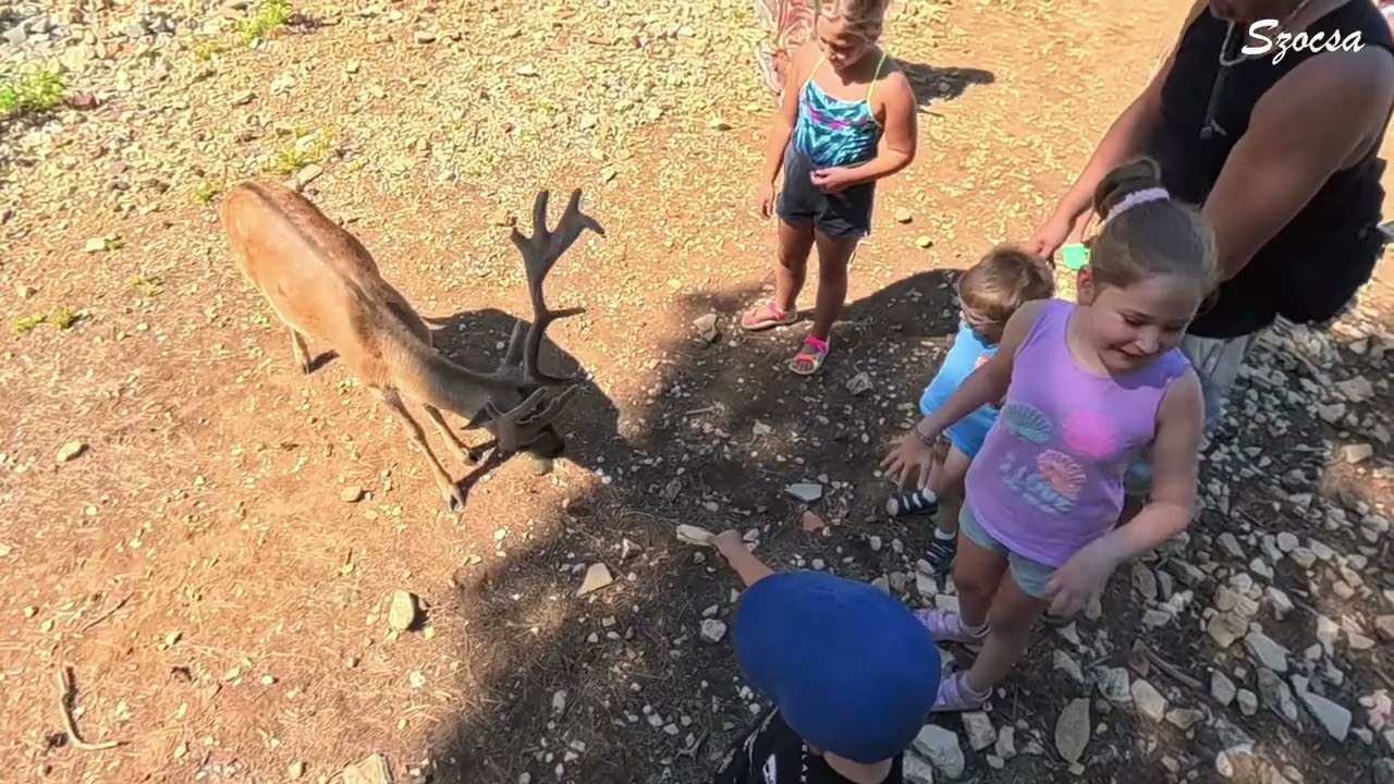 Luka Sveti Grgur Goli otok 2025