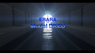 Ebara Dkeu Submersible Pump For Wastewater