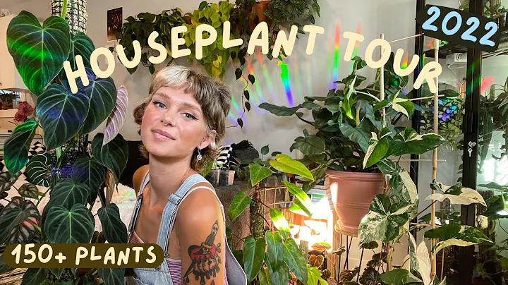Houseplant Tour 2022 | 150+ plants in my small apartment 🌿 (rare + common!) - DayDayNews
