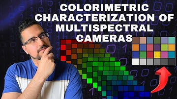Colorimetric Characterization of Multispectral Cameras