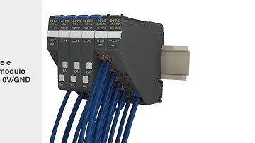 Protettore elettronico, REX12D (DC24V) con IO-Link