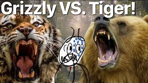 Video 1980021: bengal tiger, talking bengal