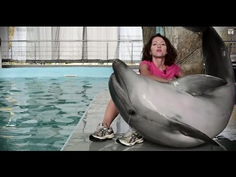 Дельфин афалина: секс, драгс, рок-н-ролл // Все как у зверей #35