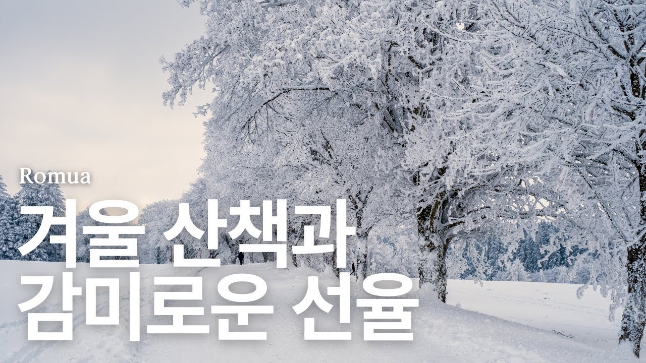 𝙿𝚕𝚊𝚢𝚕𝚒𝚜𝚝 : 눈 내린 오후, 지친 마음을 정리해주는 피아노 | 1월 잔잔한 겨울음악 플레이리스트 | Winter Healing BGM ❄️