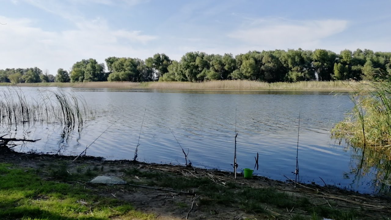 Рыбалка на УДОЧКУ САМОЛОВКУ ловля карася