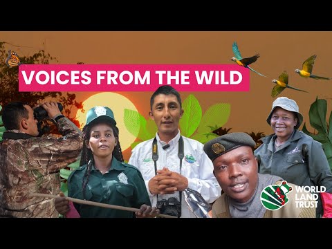 Voices From The Wild (2025) - World Land Trust