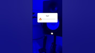 PRXJEK Snippet 8th March 2020