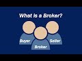 Forex Broker and Dealer