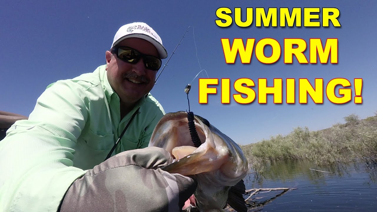 Summer Bass Fishing 101