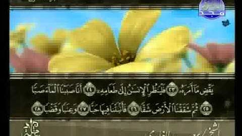 سعد الغامدي - سورة عبس Abasa