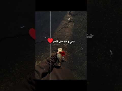 اغاني للاب بدون موسيقي ادم نبيل حالات واتس  فولو بدون موسيقى حالات واتس تصميمي لايك 