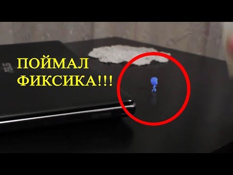 Как поймать фиксиков в домашних условиях