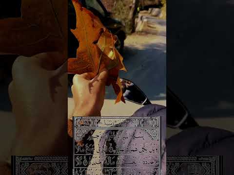 Surah Al Humazah Complete Tilawat Shorts Ytshorts