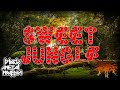SWEET JUNGLE tema para el canal Metal Release | Black Metal Mvffin