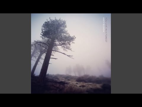 You Live In A Forest auf YouTube ansehen
