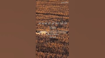 تلاوة هادئة تريح القلب 😴🎧 | القاريء إسلام صبحي - سورة هود 🧡🌥️."