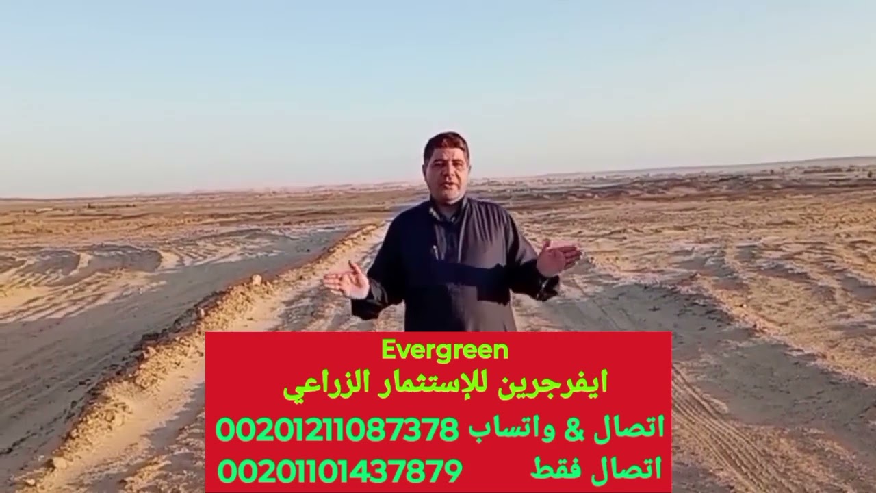 انتباه. مشروع مربح جدا. فرصتك بانتظارك. مزرعة مستقلة 15 فدان للبيع بالواحات البحرية. دكتور مسعد قشوش