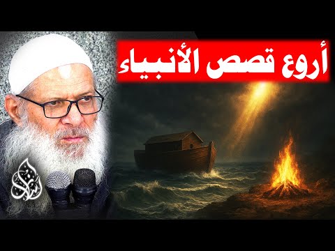 من فوائد قصة نوح عليه السلام 4 087 قصص الأنبياء