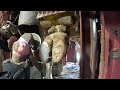 WATCH ME TRIM ALL 4 of THIS BULL&#39;s HOOVES / Hoof Restoration // Transformation //