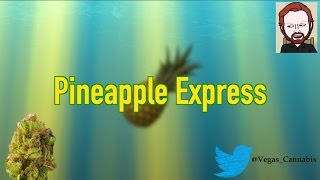 Pineapple Express Strain Information Review