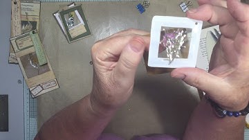 The 100 day Project - Specimen Slides