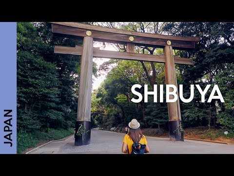 ટોક્યો, જાપાન: શિબુયા ક્રોસિંગ, મેજી તીર્થ, હરાજુકુ, કવાઈ મોન્સ્ટર કાફે | vlog 3