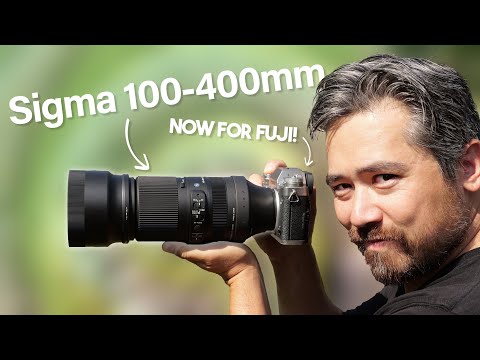 Sigma 100-400mm f/5-6.3