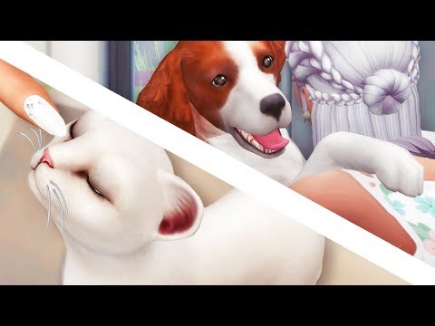 the-sims-4-//-cats-&-dogs