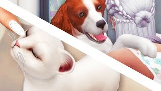 ADOPTION DAY // The Sims 4: Cats & Dogs #1 ADOPTION DAY // The Sims 4: Cats & Dogs #1
