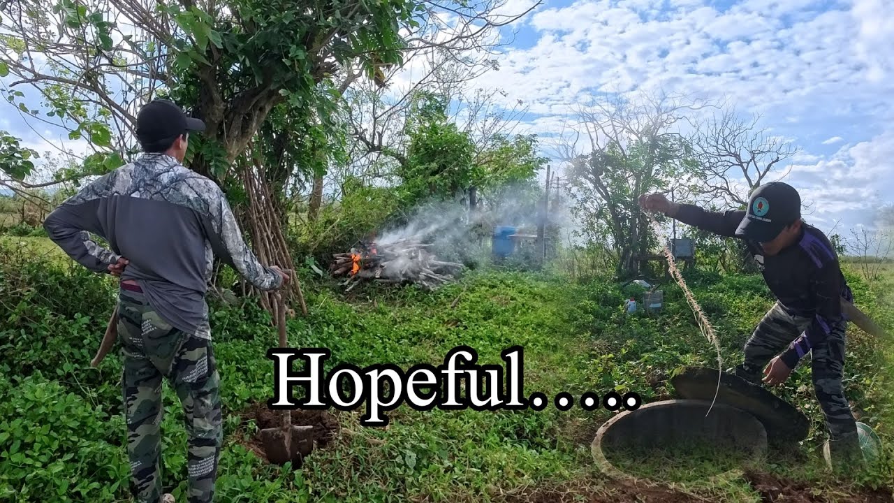 PUNONG-PUNO NG PAG ASA