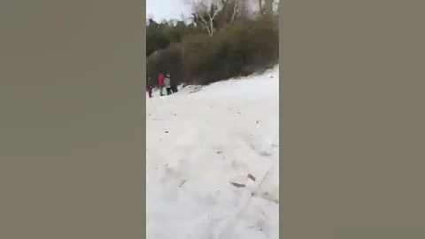 Joseph trovato and trollinawesome Walsh sled race