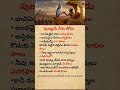 Life Lessons | from Lord Krishna You Must Know #viral #shorts #motivation