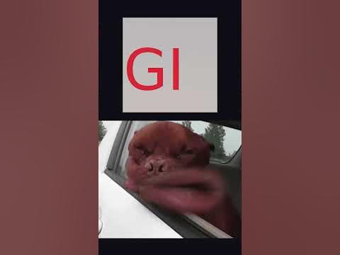 JPG vs PNG vs WEBP vs GIF vs SVG