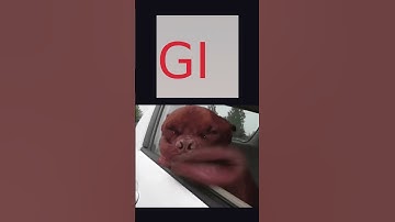 JPG vs PNG vs WEBP vs GIF vs SVG