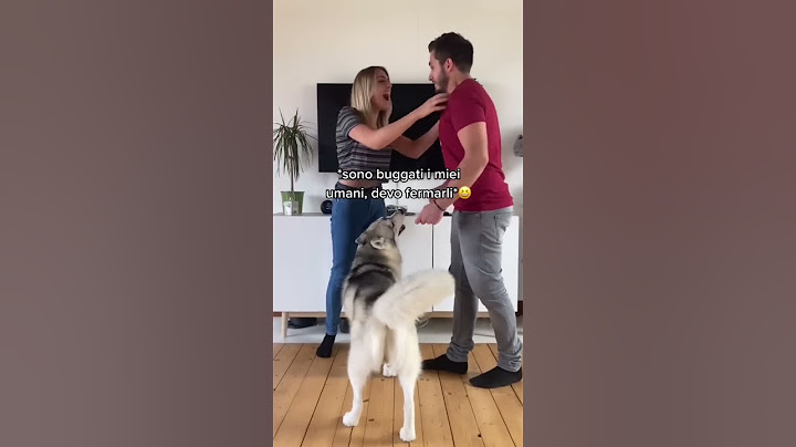FINGIAMO di LITIGARE per vedere la REAZIONE del nostro CANE🫢🐶😂 #dogchallenge #dogs #cani #prank