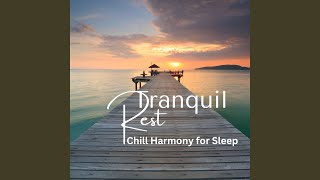 Tranquil Echoes of Slumber