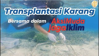 TRANSPLANTASI KARANG BERSAMA DALAM #AKSIMUDAJAGAIKLIM