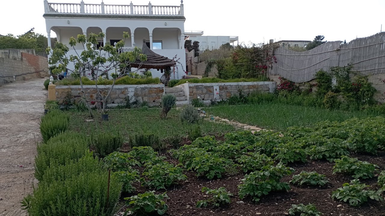 فيلا كتحمق مع الغرسة مساحة 900متر قريبة من الشاطئ والطريق الرئيسية منطقة سيدي قنقوش 0703640826طنجة💥😍