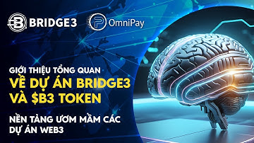 Giới thiệu Bridge3! Sự tích hợp giữa Ươm Tạo Khởi Nghiệp và Phân Phối Lưu Lượng Người Dùng | OmniPay