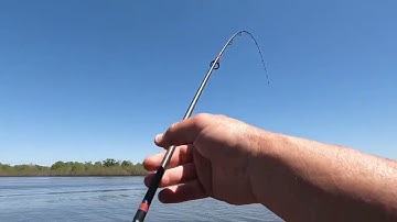 Post Spawn Crappie on Stumps